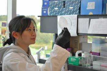 Aline Chhun, molecular biology supervisor at Functional Technologies’ Phyterra Yeast subsidiary in Charlottetown, PEI
